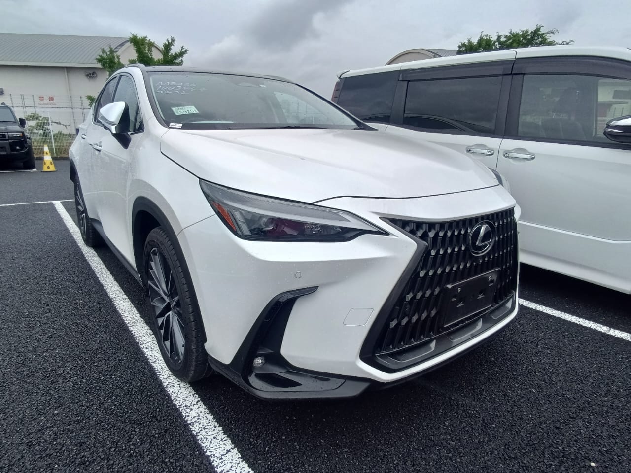 
								03445 LexusNX250 full									