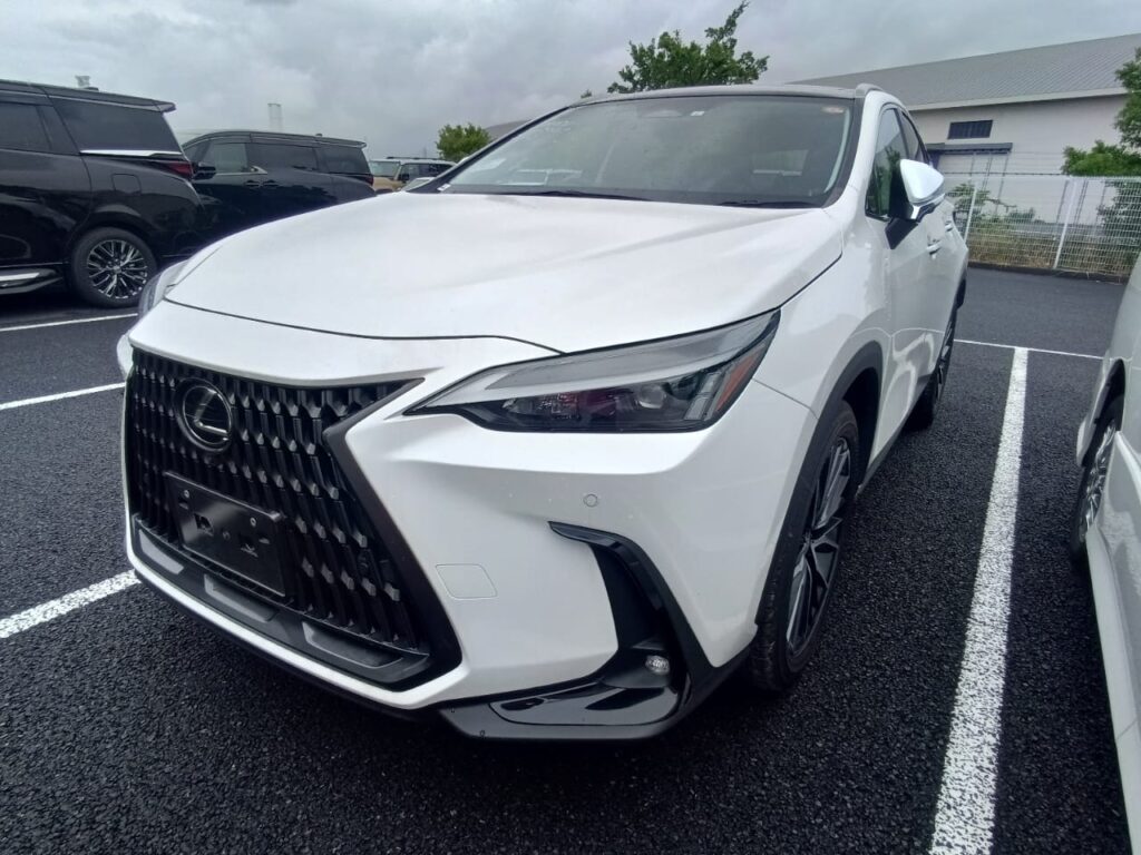 03445 LexusNX250
