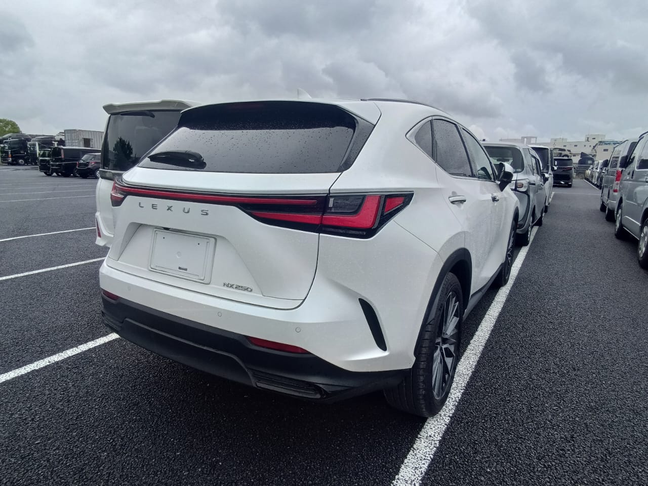 
								03445 LexusNX250 full									