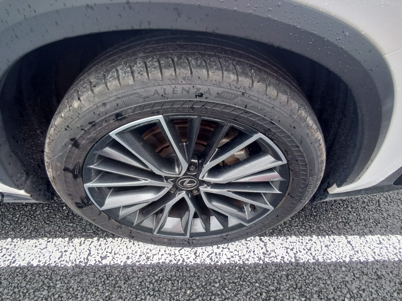 
								03445 LexusNX250 full									