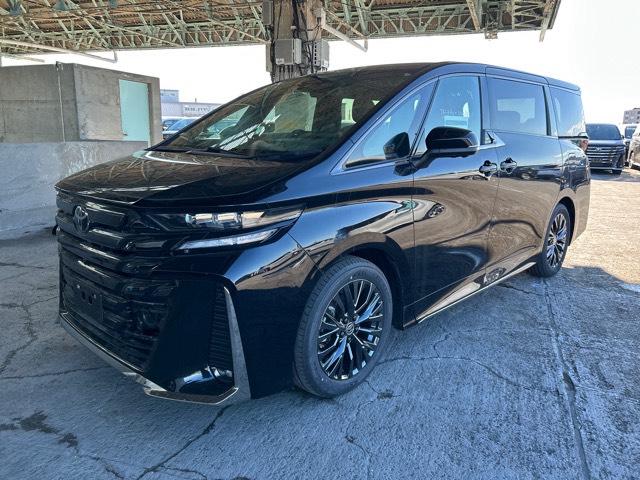 
								toyota vellfire z premier 07621 full									